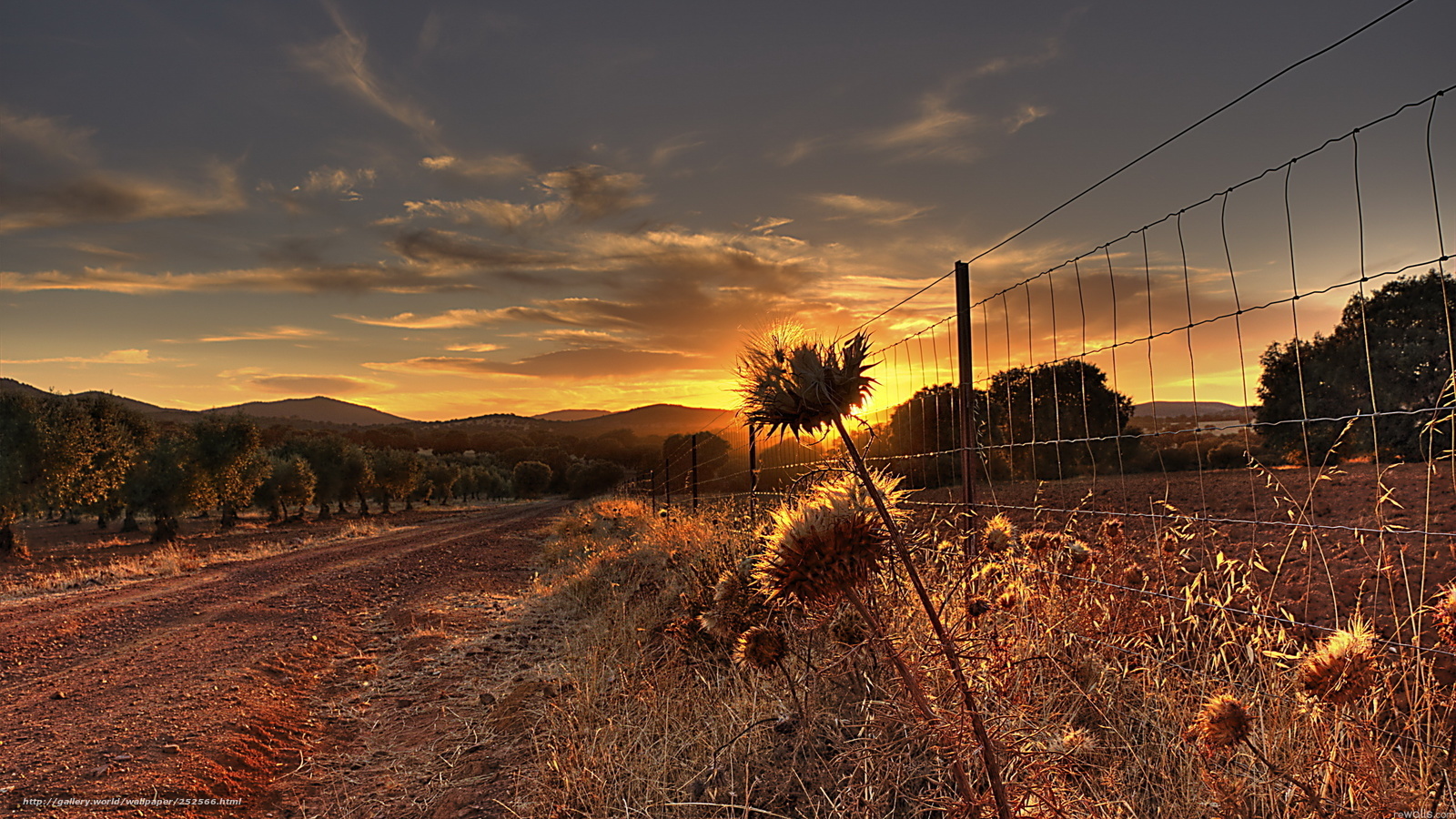 Sunset over rural landscape