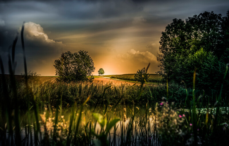 Sunset over Rural Landscape — Green