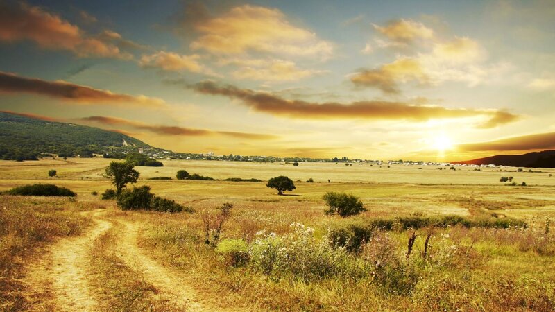 Sunset over Rural Landscape — Yellow