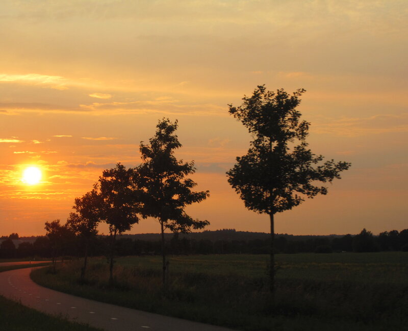 Sunset over Rural Path — Orange