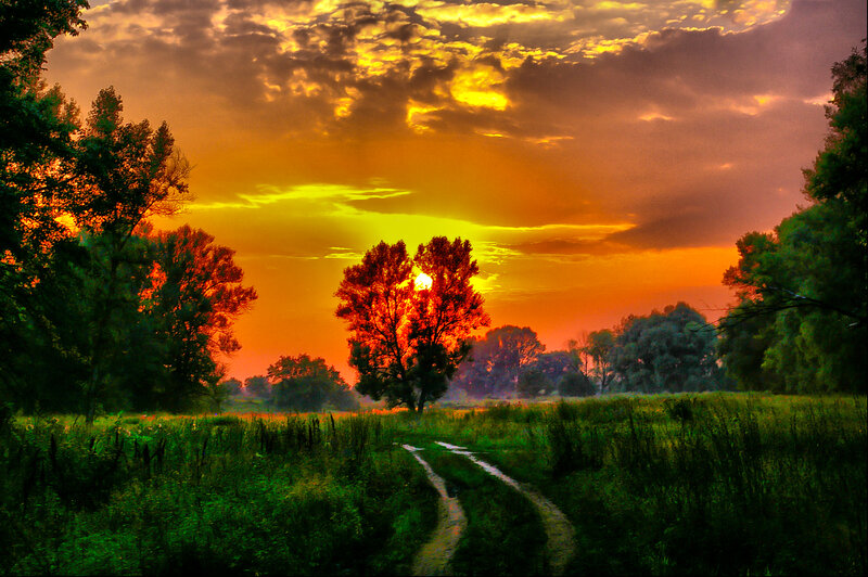 Sunset over Rural Path