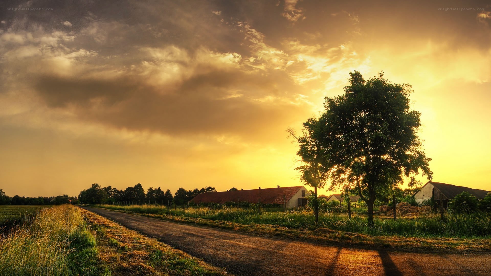 Sunset over rural road