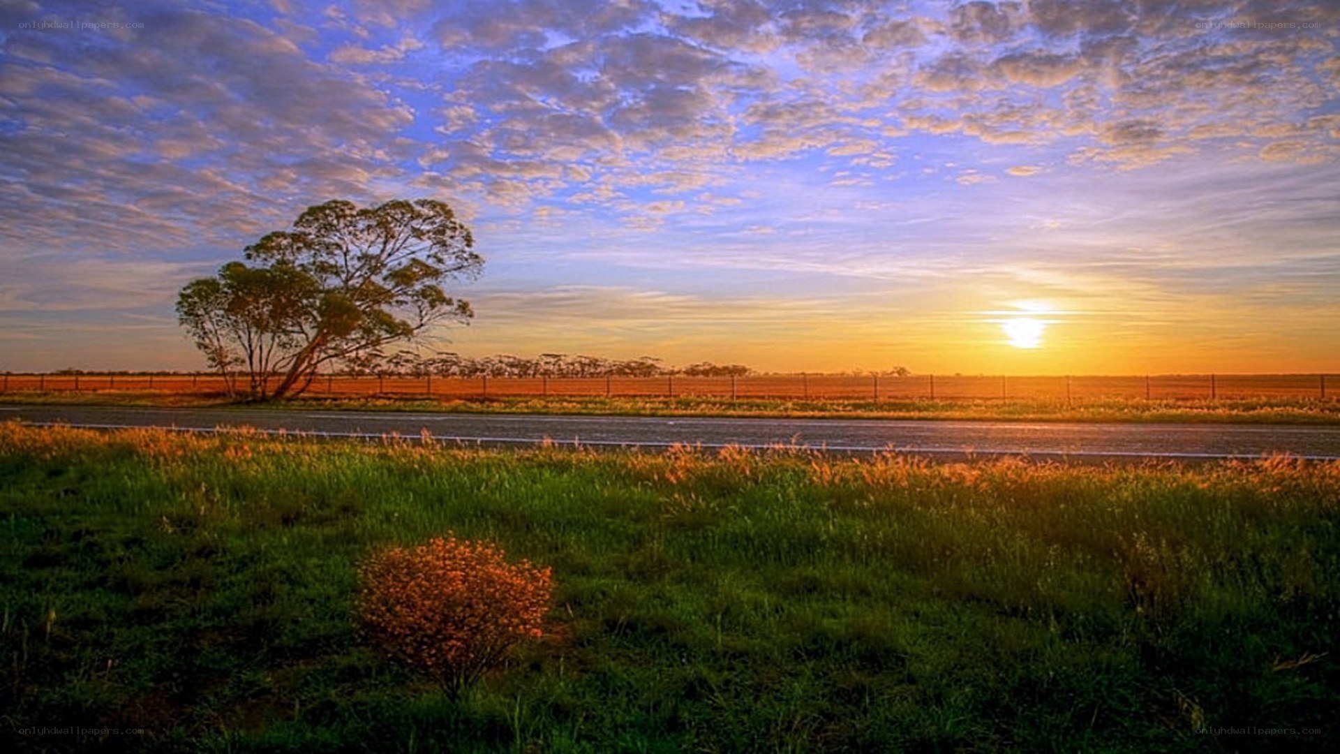 Sunset over rural road