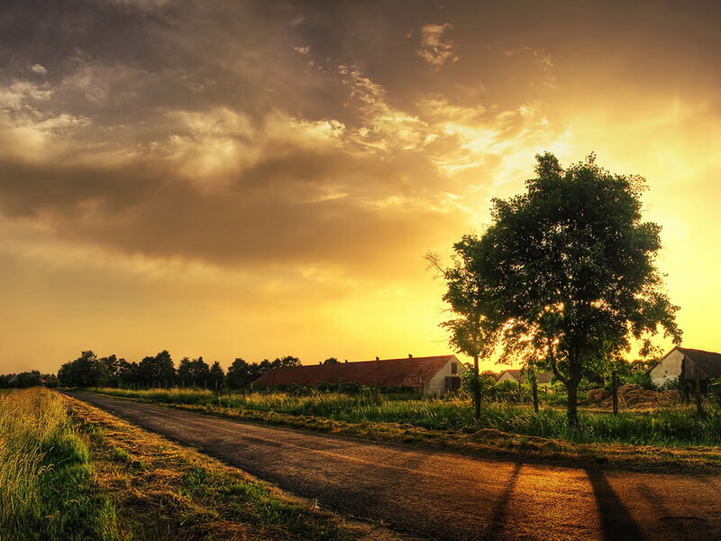 Sunset over rural road