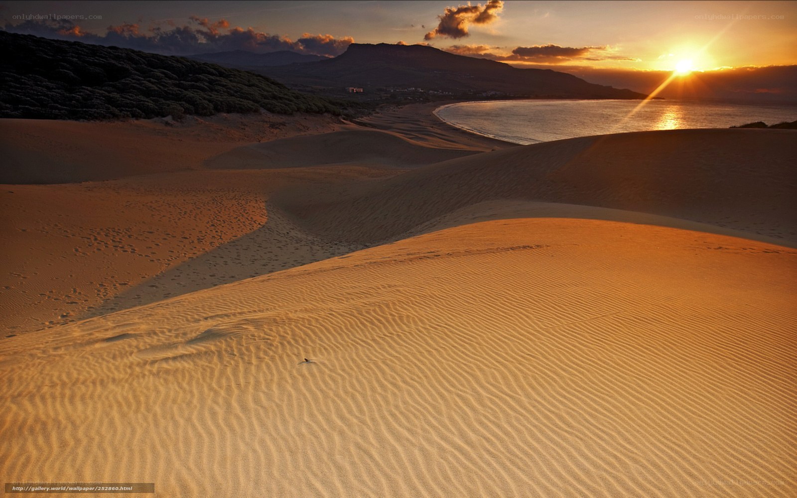 sunset over sand dunes