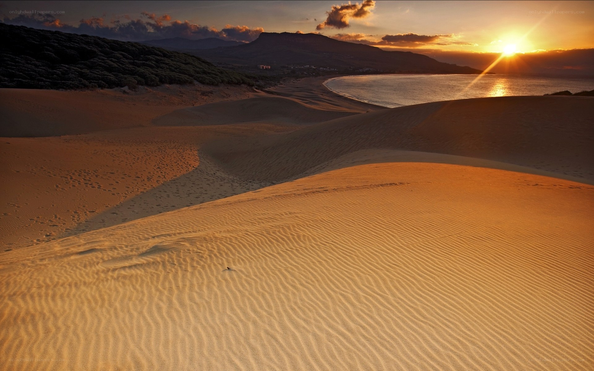 sunset over sand dunes