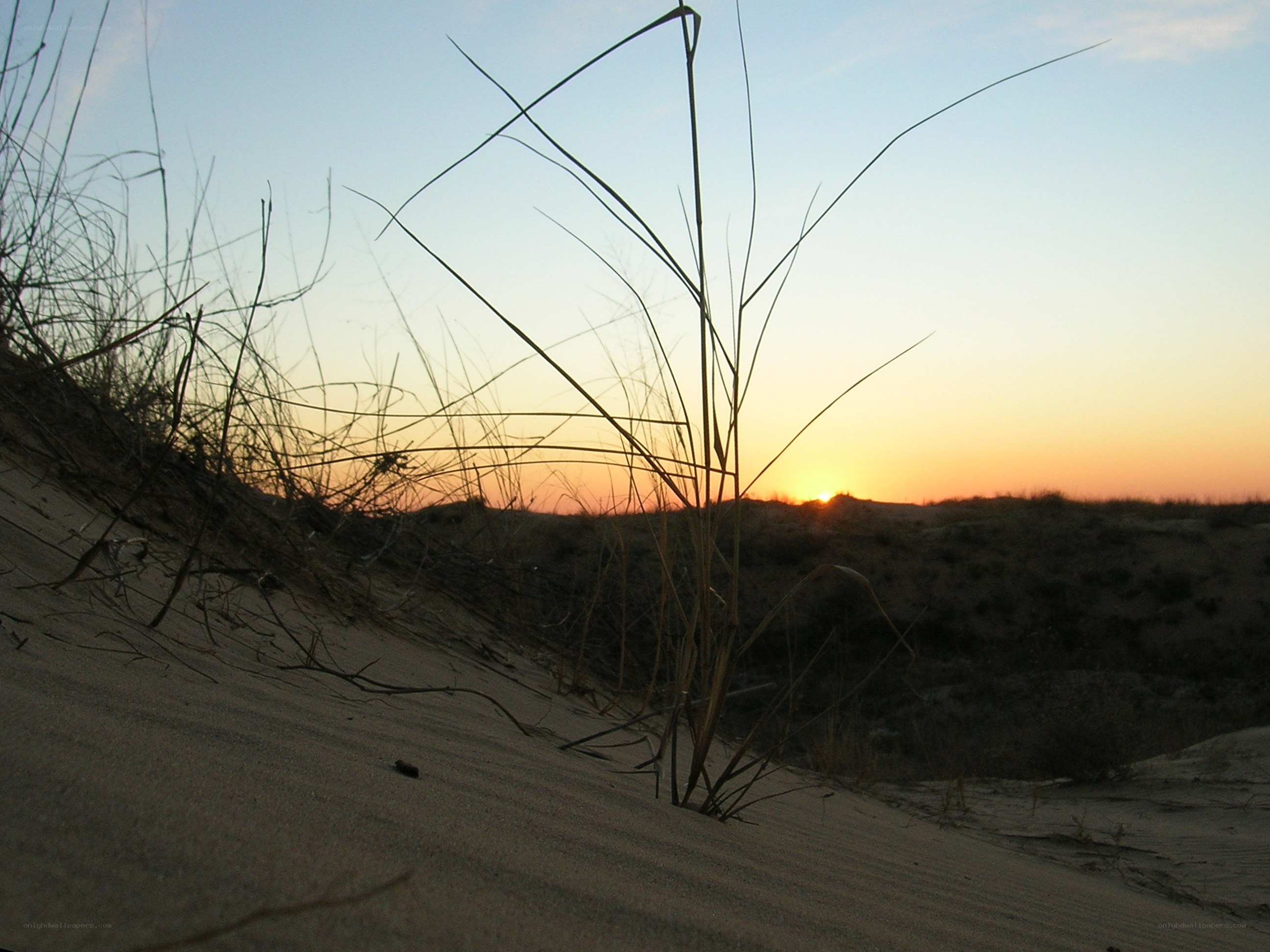 Sunset over sand dunes