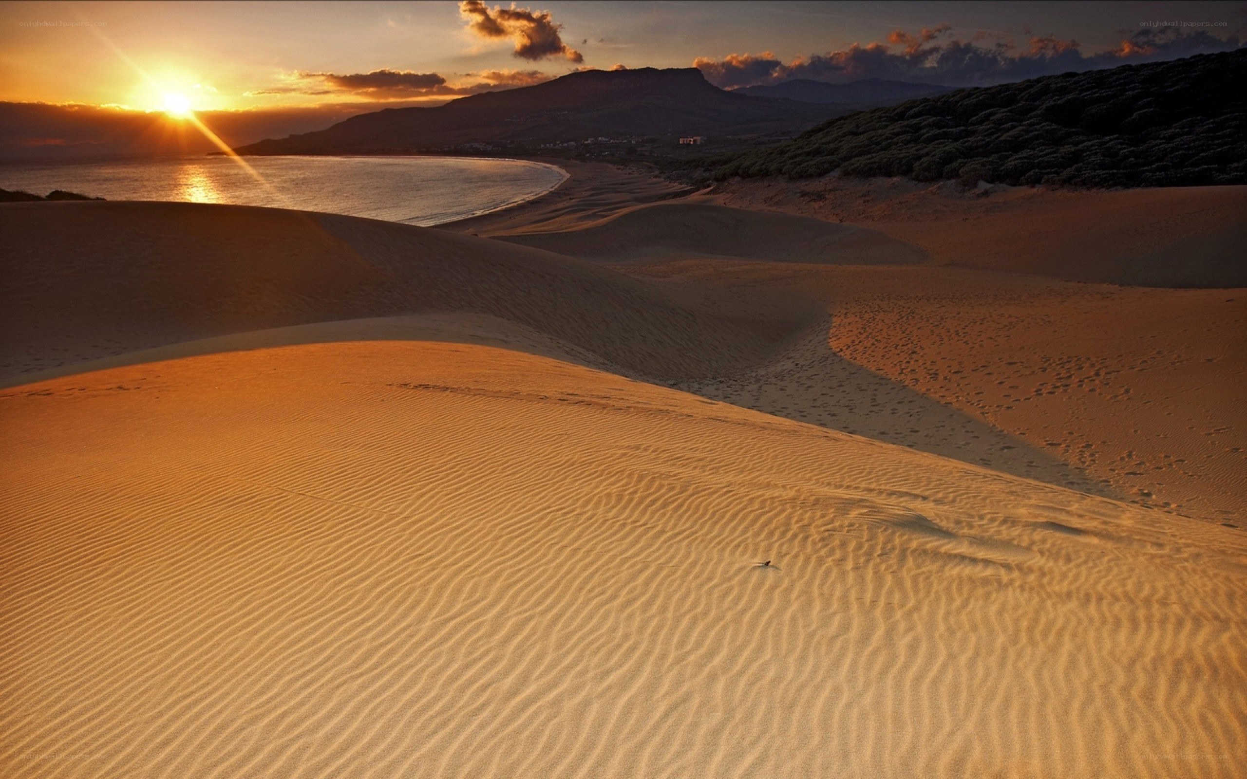 sunset over sand dunes and sea