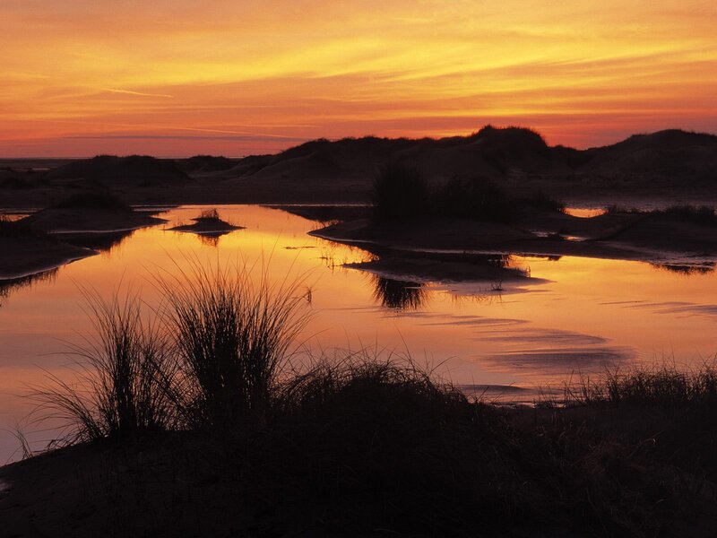 Sunset over Sand Dunes — Orange, Serene, Photograph