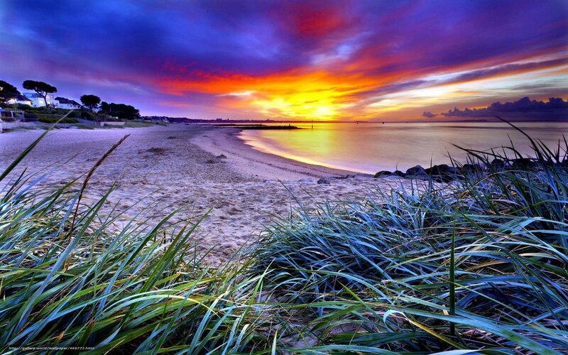 Sunset over Sandy Beach — Purple, Dramatic, Photograph, Grass