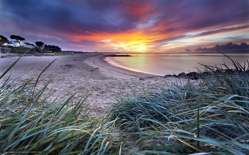 Sunset over Sandy Beach — Purple, Dramatic, Photograph, Sand Dunes