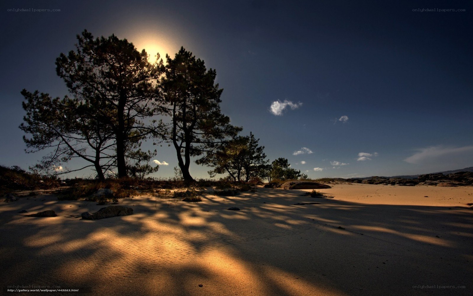 Sunset over sandy dunes
