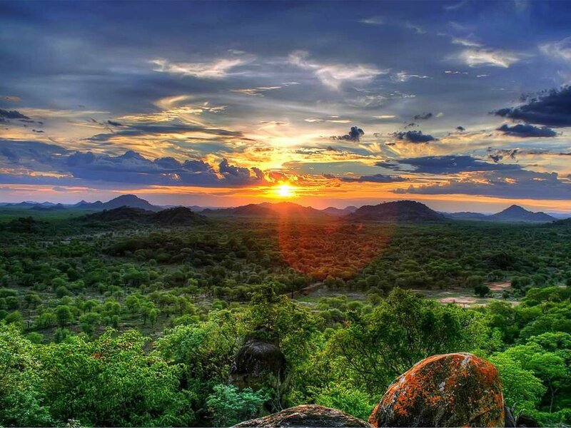 Sunset over Savanna — Green