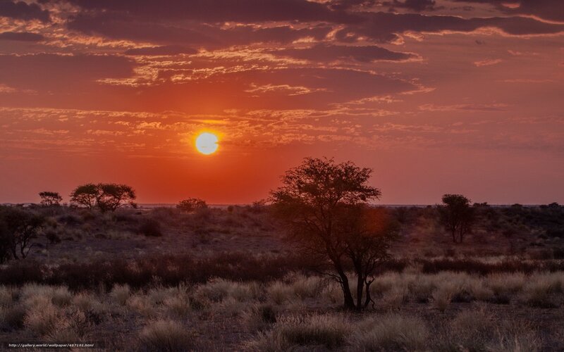Sunset over Savanna — Orange, Dramatic, Photograph