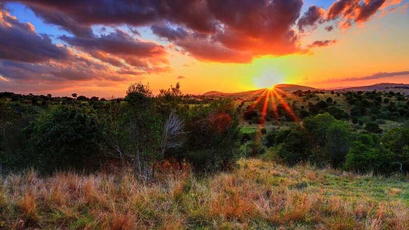 Sunset over Savanna — Orange