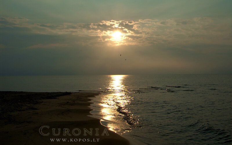 Sunset over Sea — Gold