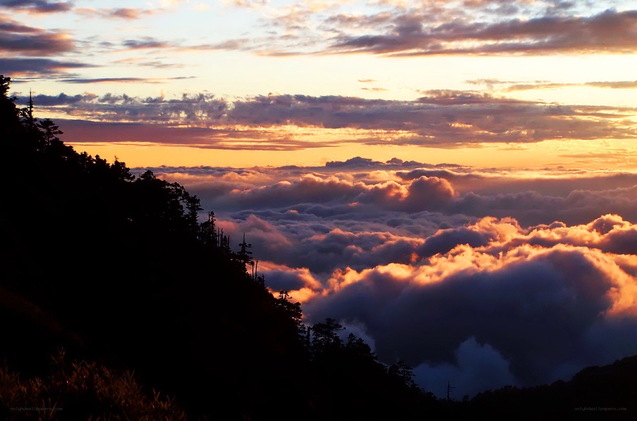 Sunset over sea of clouds