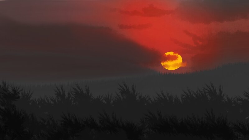 Sunset over Silhouetted Plants — Red