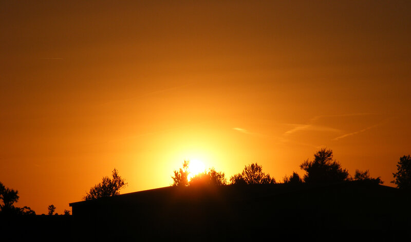 Sunset over silhouetted trees