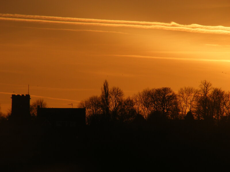 sunset over silhouetted trees