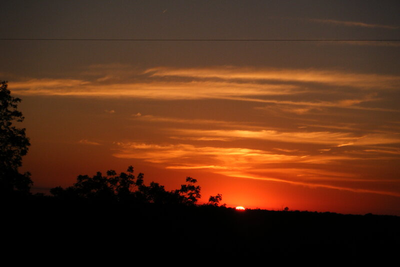 Sunset over silhouetted trees