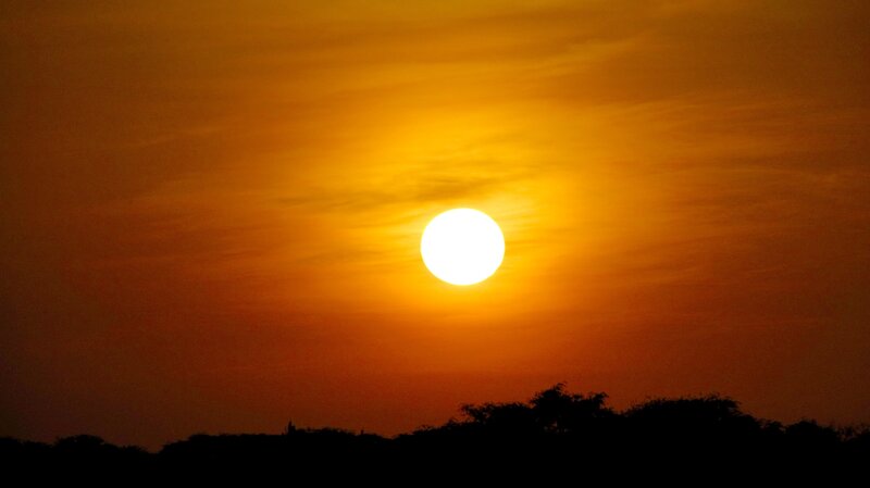 Sunset over silhouetted trees