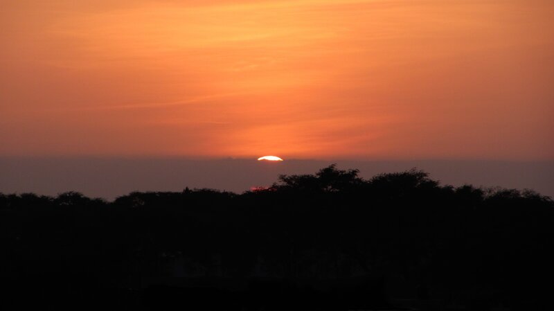 Sunset over silhouetted trees