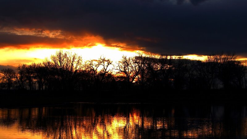 sunset over silhouetted trees
