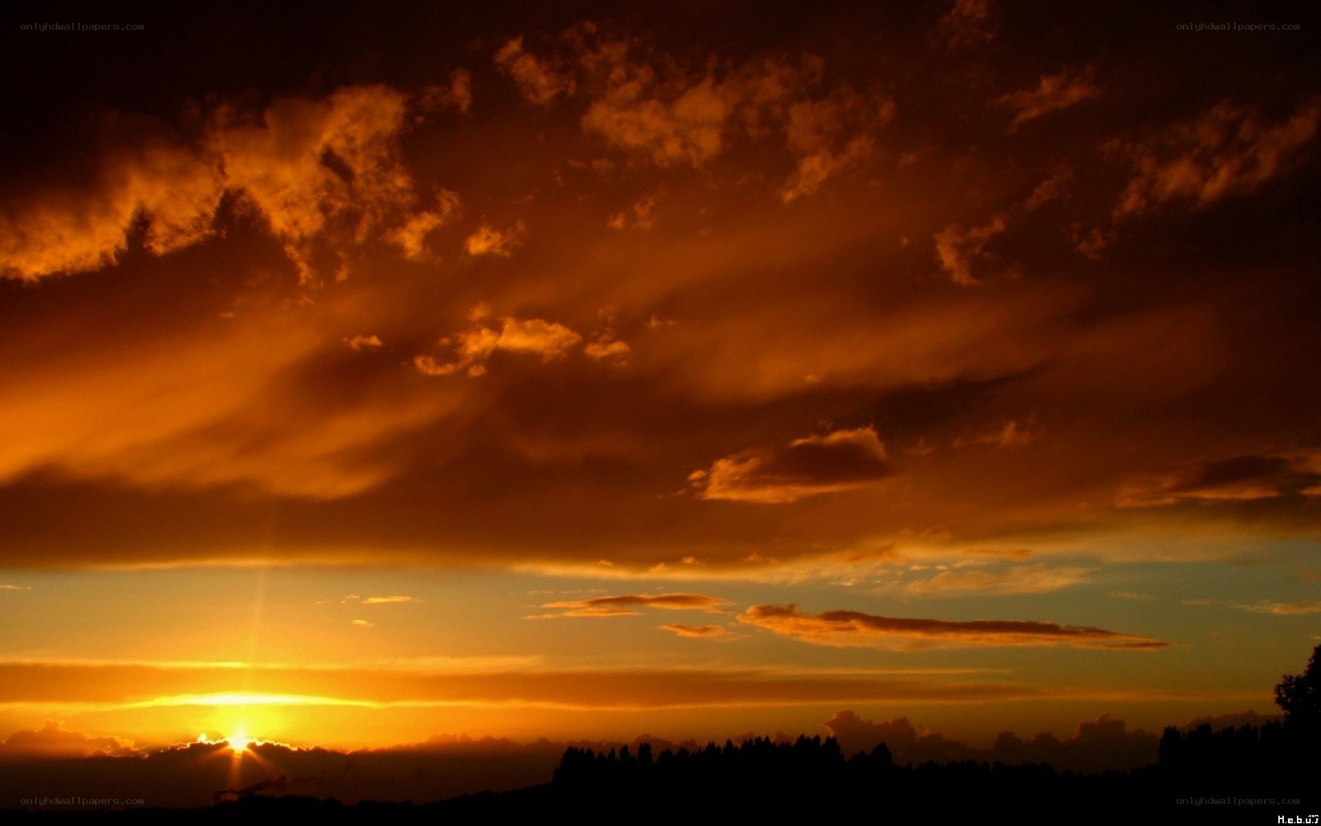 sunset over silhouetted trees