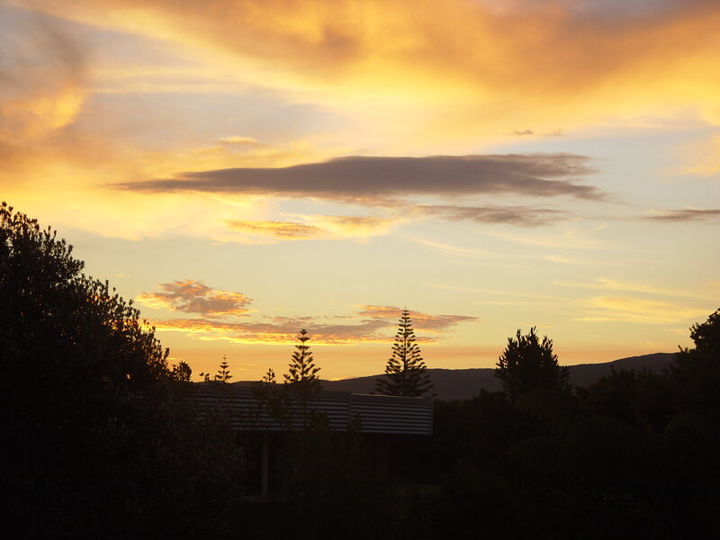 sunset over silhouetted trees