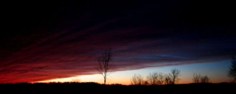 sunset over silhouetted trees