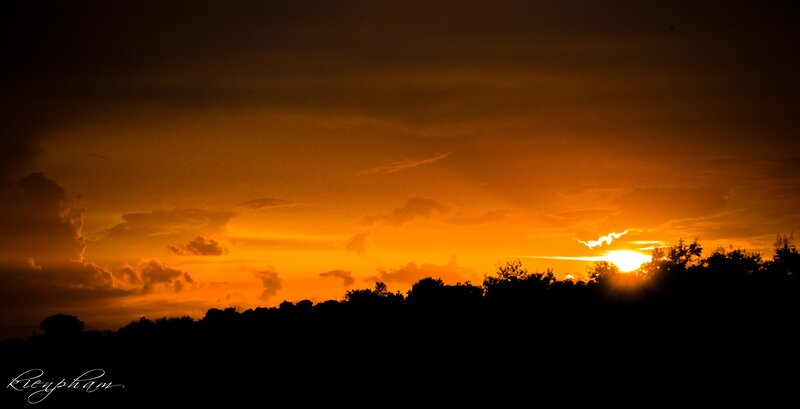 Sunset over silhouetted trees