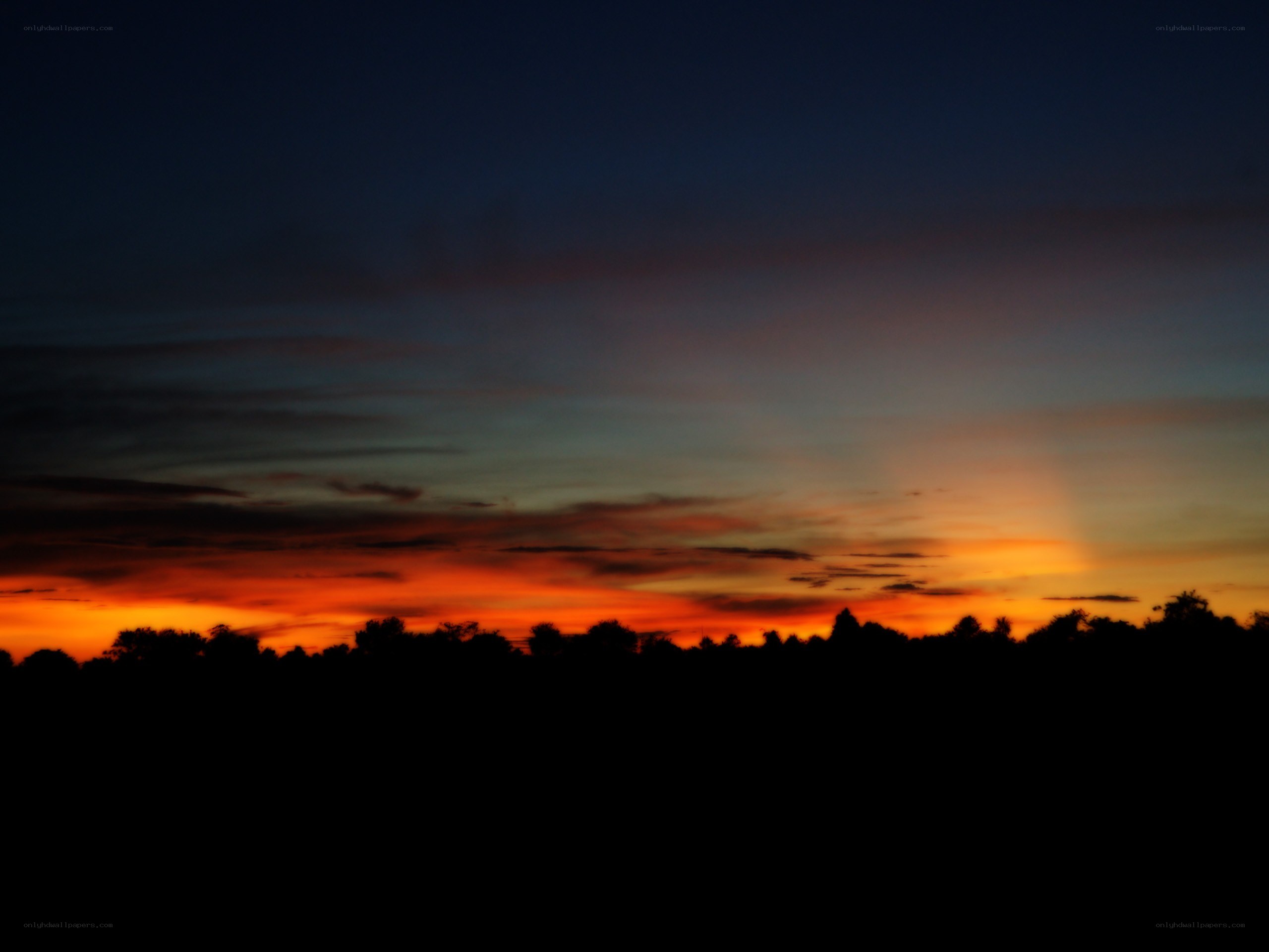 sunset over silhouetted trees
