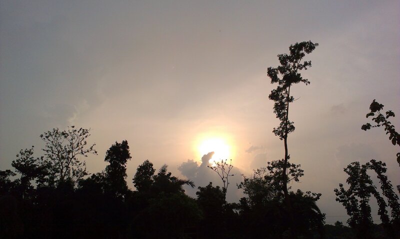 Sunset over silhouetted trees