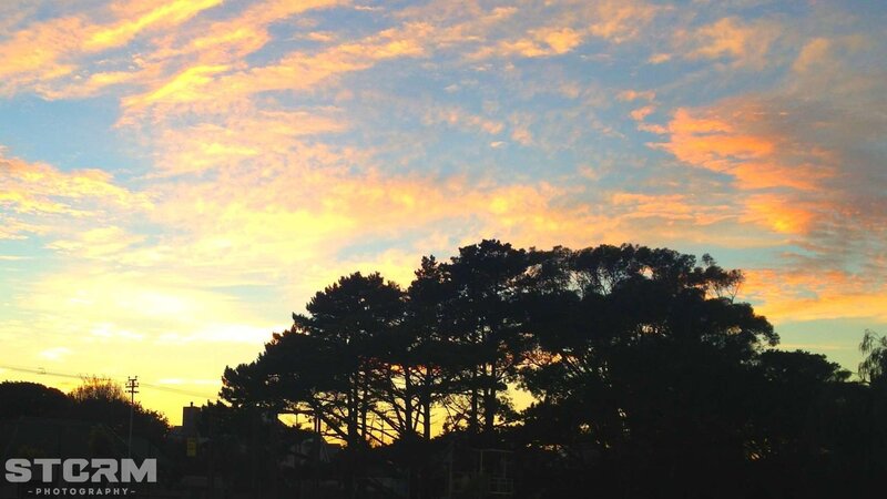 sunset over silhouetted trees