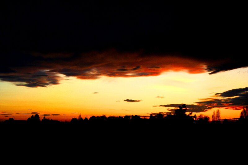 sunset over silhouetted trees