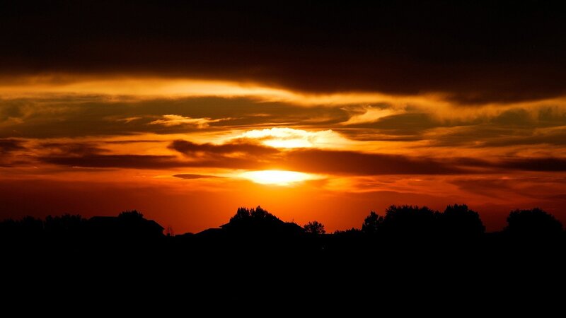 Sunset over Silhouetted Trees — Dramatic