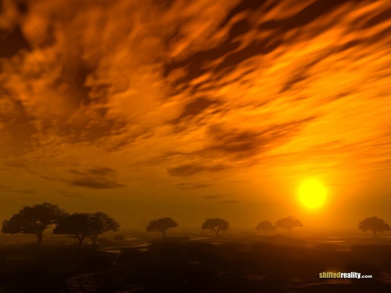 Sunset over Silhouetted Trees — Orange, Dramatic, Digital Art