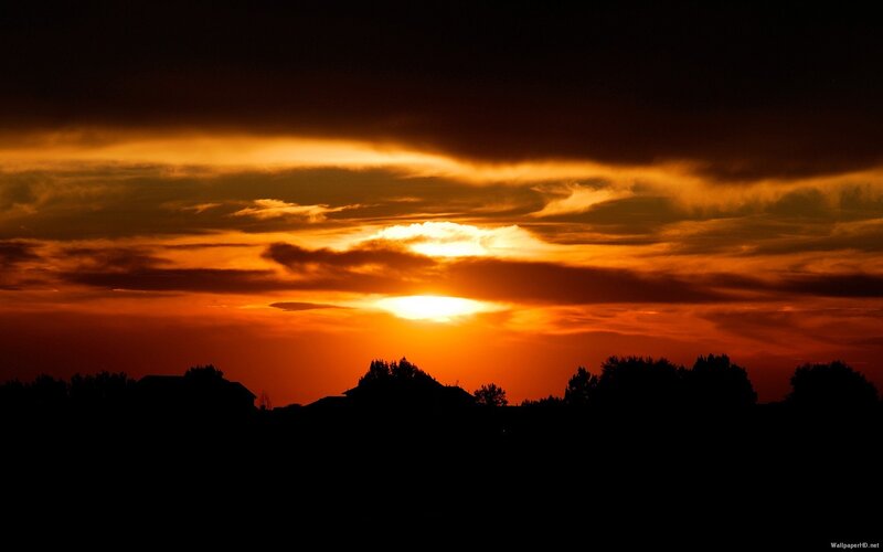 Sunset over Silhouetted Trees — Orange, Dramatic, Photograph, Clouds, Sky, Black, Yellow
