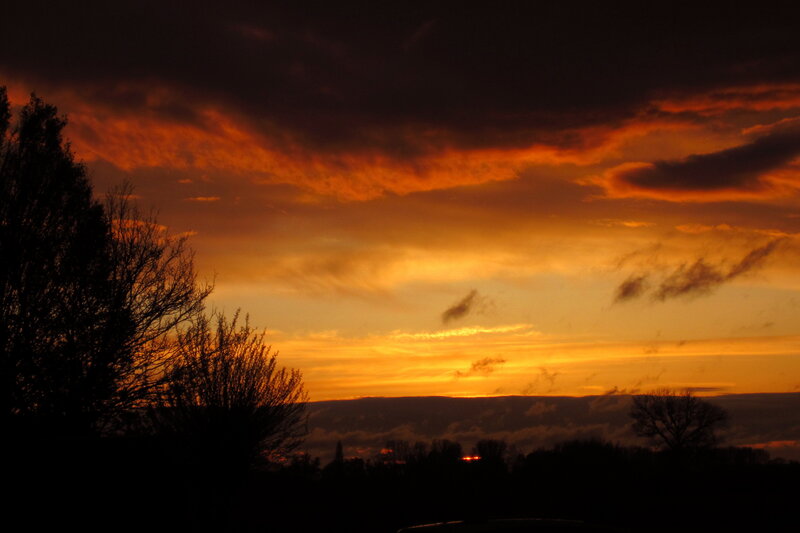 Sunset over Silhouetted Trees — Orange, Dramatic, Photograph, Clouds, Sky