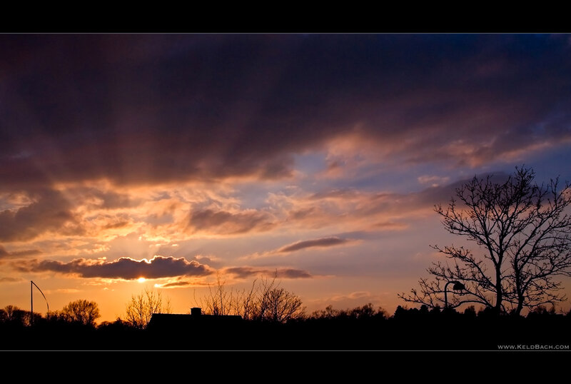 Sunset over Silhouetted Trees — Orange, Dramatic, Photograph, Clouds, Sun, Building