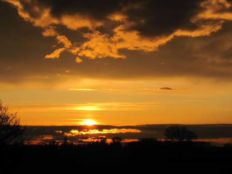 Sunset over Silhouetted Trees — Orange, Dramatic, Photograph, Clouds, Sun