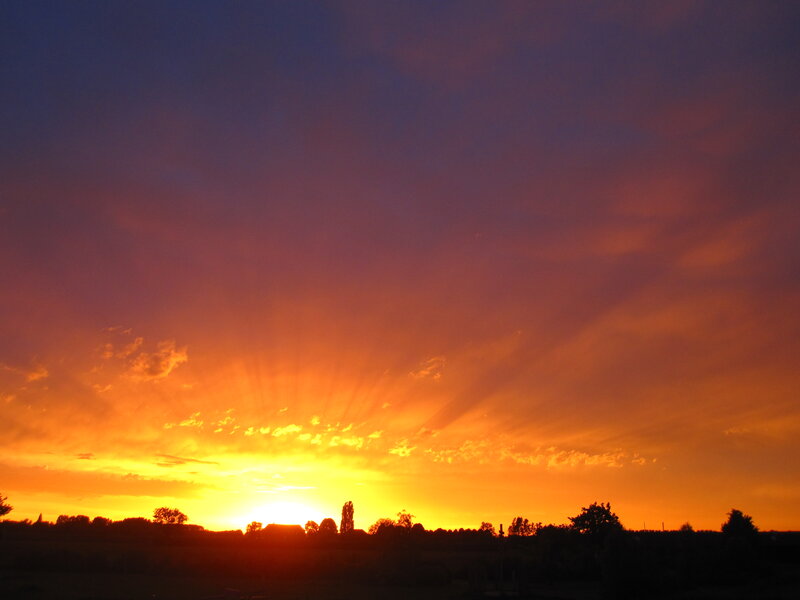 Sunset over Silhouetted Trees — Orange, Dramatic, Photograph, Sky, Clouds