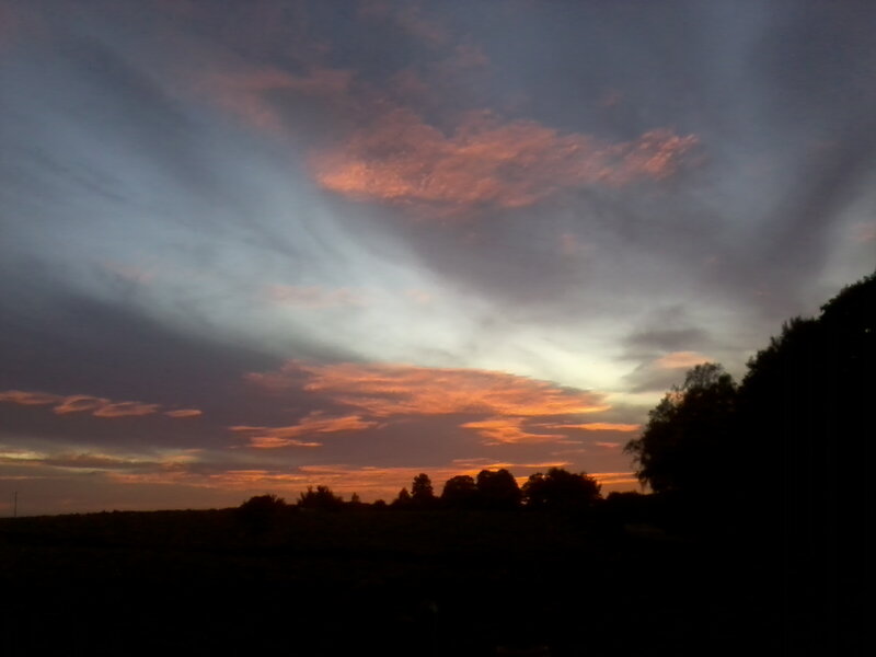Sunset over Silhouetted Trees — Orange, Dramatic, Photograph, Sky