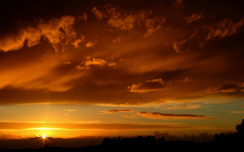Sunset over Silhouetted Trees — Orange, Dramatic, Photograph, Sun, Clouds, Yellow