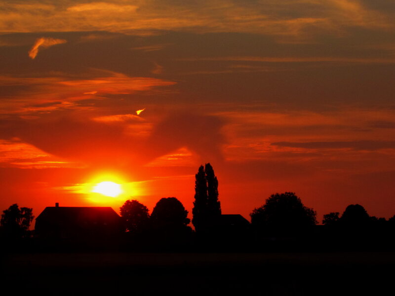 Sunset over Silhouetted Trees — Orange, Dramatic, Photograph, Sun, House