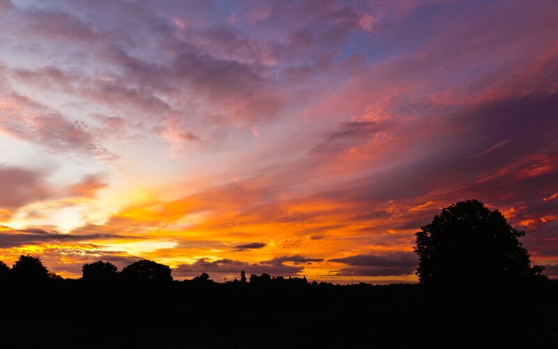 Sunset over Silhouetted Trees — Orange, Dramatic