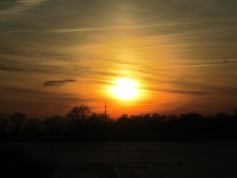 Sunset over Silhouetted Trees — Orange, Serene, Photograph, Sun