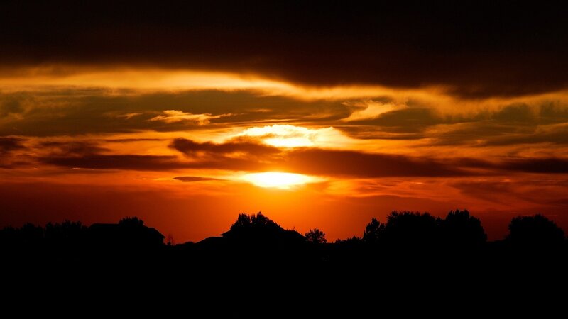 Sunset over Silhouetted Trees — Photograph