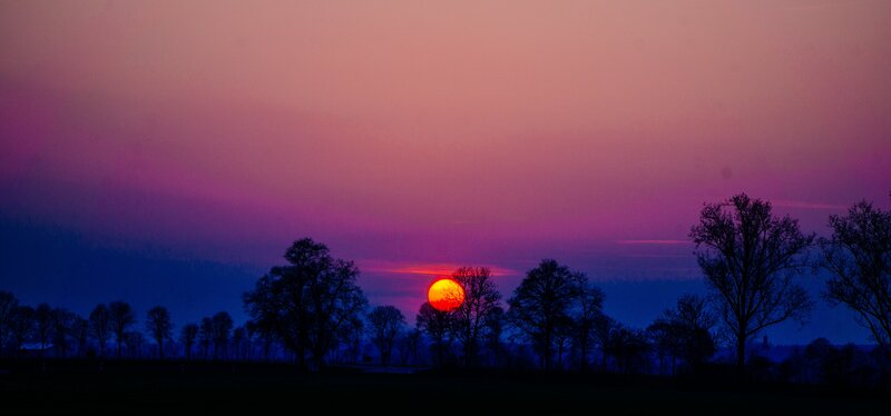 Sunset over Silhouetted Trees — Purple, Serene